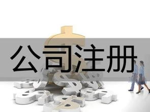 專業(yè)代辦上海企業(yè)異常注銷及軟件開發(fā)服務(wù)解析