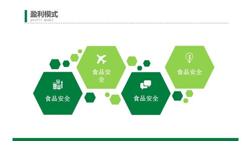 綠色食品商業(yè)創(chuàng)業(yè)計(jì)劃書(shū)
