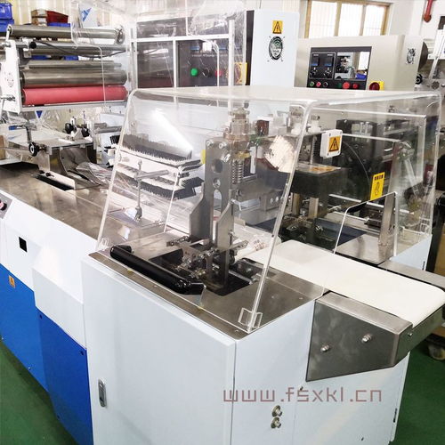 新科力KL-T600W 生鮮蘆筍自動包裝的精準革新與效率之選