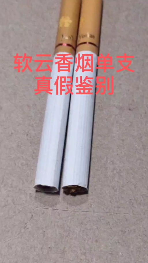 深入解析「中機軟云」與「軟云冒牌超長版」 云計算時代的真假博弈
